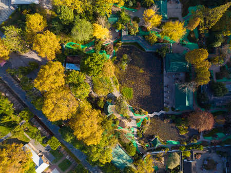 Autumn scenery of Jiefang Park in Wuhan, Hubeiの写真素材