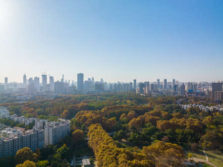 Autumn scenery of Jiefang Park in Wuhan, Hubeiの写真素材