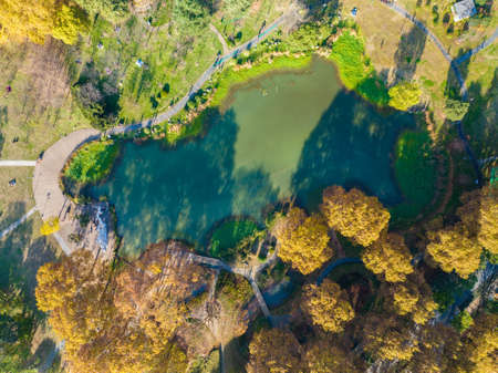 Autumn scenery of Jiefang Park in Wuhan, Hubeiの写真素材