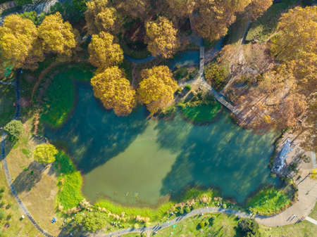 Autumn scenery of Jiefang Park in Wuhan, Hubeiの写真素材