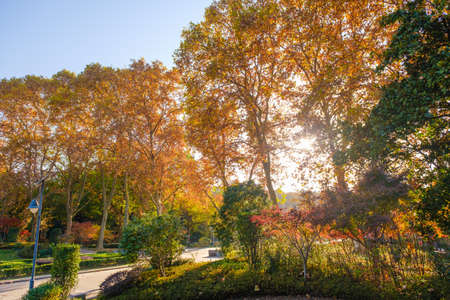 Autumn scenery of Jiefang Park in Wuhan, Hubeiの写真素材