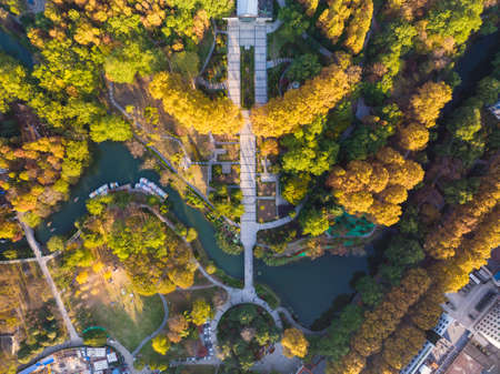 Autumn scenery of Jiefang Park in Wuhan, Hubeiの写真素材