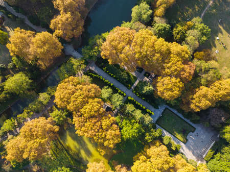 Autumn scenery of Jiefang Park in Wuhan, Hubeiの写真素材
