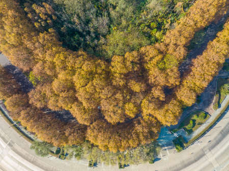 Autumn scenery of Wuhan Hanyang River Beach and Nan'anzui Parkの写真素材
