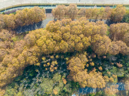 Autumn scenery of Wuhan Hanyang River Beach and Nan'anzui Parkの写真素材