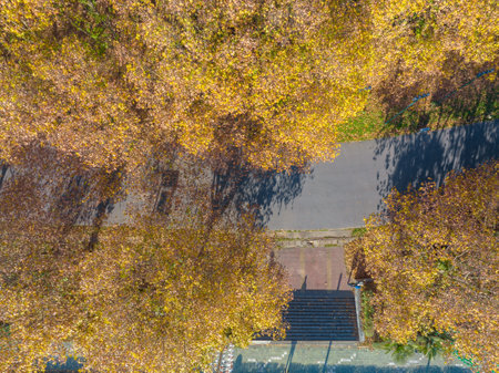 Autumn scenery of Wuhan Hanyang River Beach and Nan'anzui Parkの写真素材