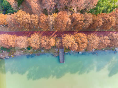 Autumn aerial scenery of Qingshan Park in Wuhan, Hubeiの写真素材