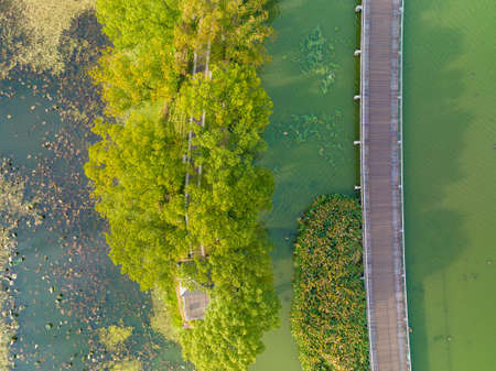 Autumn scenery of Yuehu Park in Wuhan, Hubeiの写真素材