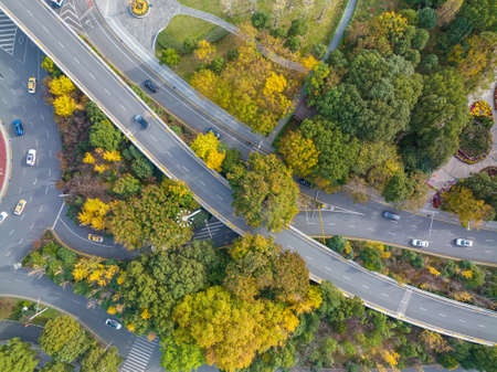 Autumn scenery of Yuehu Park in Wuhan, Hubeiの写真素材
