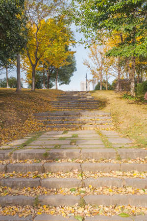 Autumn scenery of Yuehu Park in Wuhan, Hubeiの写真素材