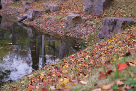 Autumn scenery of Yuehu Park in Wuhan, Hubeiの写真素材