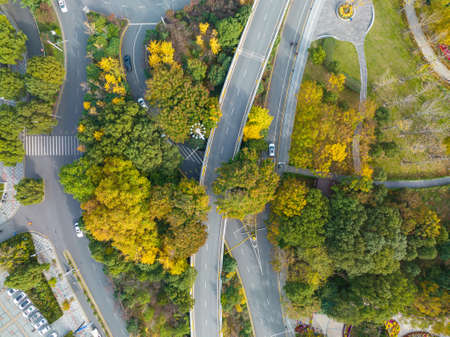 Autumn scenery of Yuehu Park in Wuhan, Hubeiの写真素材