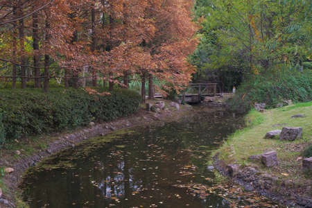 Autumn scenery of Yuehu Park in Wuhan, Hubeiの写真素材
