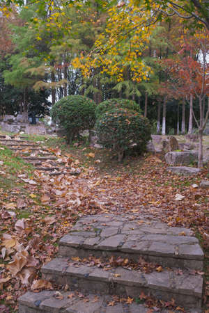 Autumn scenery of Yuehu Park in Wuhan, Hubeiの写真素材