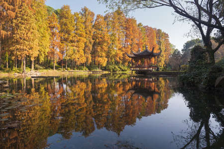 Autumn scenery in Wuhan Botanical Garden, Hubeiの写真素材