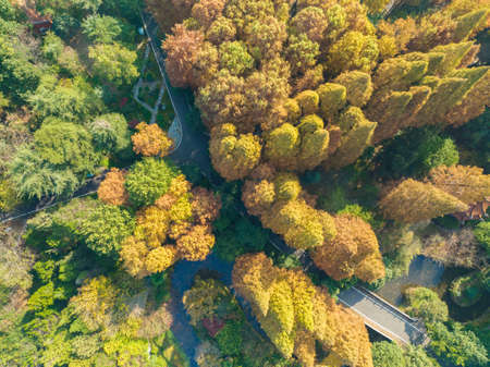 Autumn scenery in Wuhan Botanical Garden, Hubei