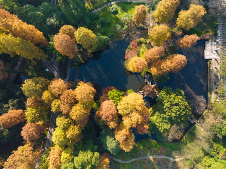 Autumn scenery in Wuhan Botanical Garden, Hubeiの写真素材