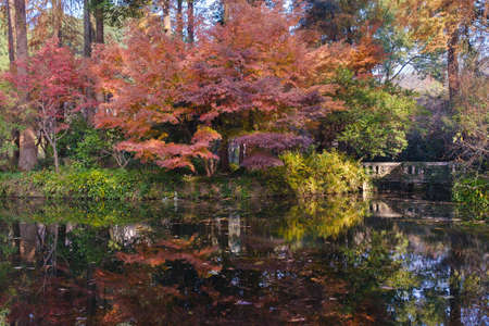 Autumn scenery in Wuhan Botanical Garden, Hubeiの写真素材