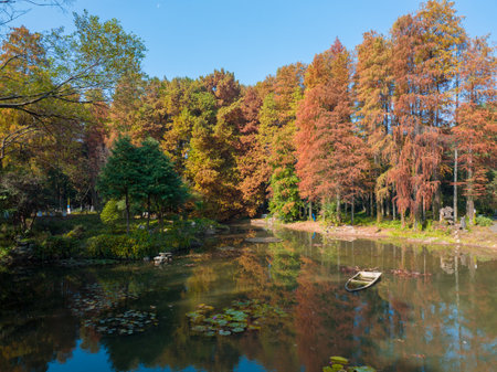 Autumn scenery in Wuhan Botanical Garden, Hubeiの写真素材