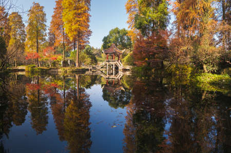Autumn scenery in Wuhan Botanical Garden, Hubeiの写真素材