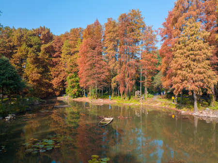 Autumn scenery in Wuhan Botanical Garden, Hubeiの写真素材