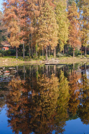 Autumn scenery in Wuhan Botanical Garden, Hubeiの写真素材