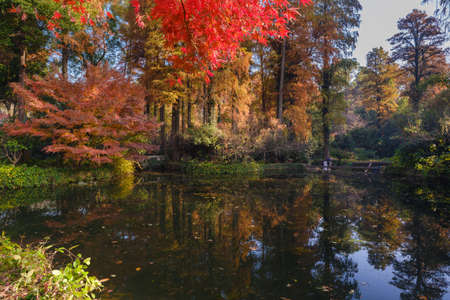 Autumn scenery in Wuhan Botanical Garden, Hubeiの写真素材