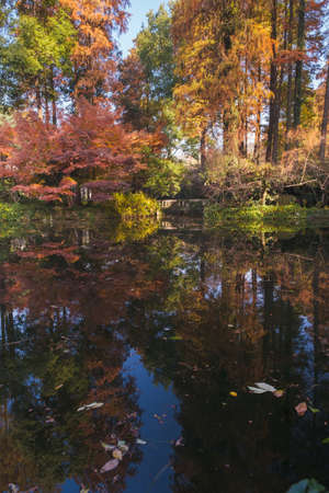 Autumn scenery in Wuhan Botanical Garden, Hubeiの写真素材