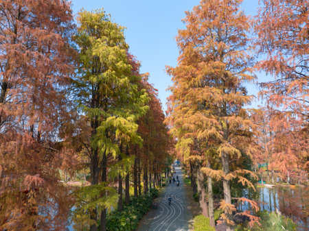 Autumn scenery in Wuhan Botanical Garden, Hubeiの写真素材