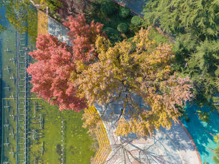 Aerial scenery of Zhongshan Park in Wuhan, Hubei in late autumnの写真素材