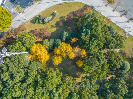 Autumn scenery of Houxiang River Park in Wuhan, Hubeiの写真素材