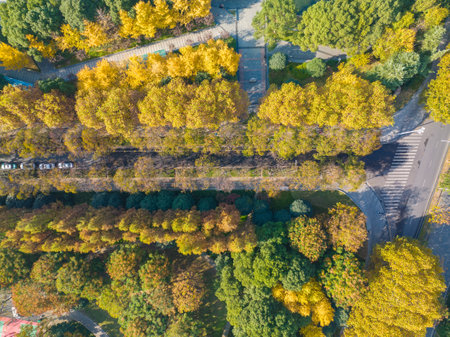 Autumn scenery of Houxiang River Park in Wuhan, Hubeiの写真素材