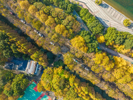 Autumn scenery of Houxiang River Park in Wuhan, Hubeiの写真素材
