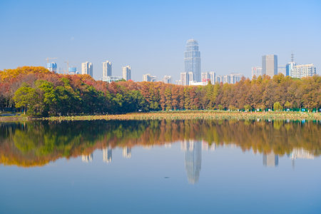 The scenery of Donghu Scenic Area in Wuhan, Hubei in late autumn and early winterのeditorial素材