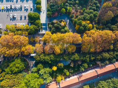 Autumn scenery of Shouyi Park in Wuchang, Wuhan, Hubei