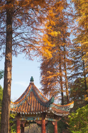 Autumn scenery in Wuhan Botanical Garden, Hubeiのeditorial素材