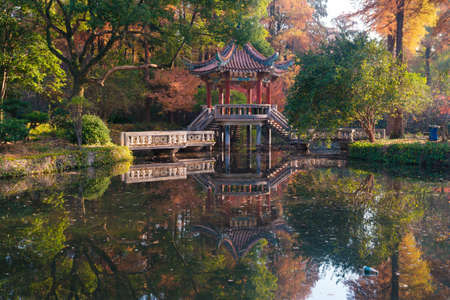 Autumn scenery in Wuhan Botanical Garden, Hubeiのeditorial素材