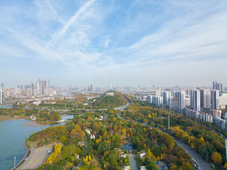 Autumn scenery of Yuehu Park in Wuhan, Hubeiのeditorial素材