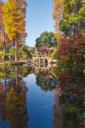 Autumn scenery in Wuhan Botanical Garden, Hubeiのeditorial素材