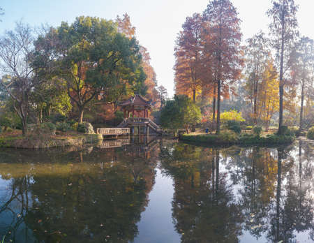 Autumn scenery in Wuhan Botanical Garden, Hubeiのeditorial素材