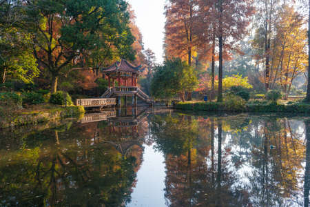 Autumn scenery in Wuhan Botanical Garden, Hubeiのeditorial素材