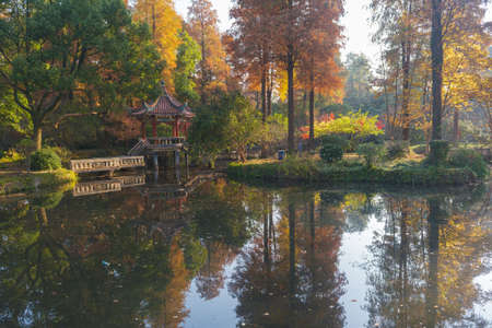 Autumn scenery in Wuhan Botanical Garden, Hubeiのeditorial素材