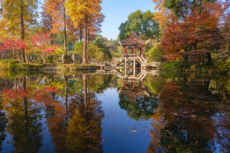 Autumn scenery in Wuhan Botanical Garden, Hubeiのeditorial素材