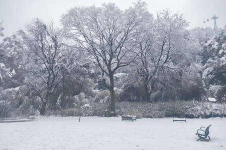 Winter snow scene in Moshan Scenic Area, East Lake, Wuhan, Hubeiの写真素材