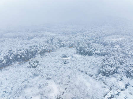 Winter snow scene in Moshan Scenic Area, East Lake, Wuhan, Hubeiの写真素材