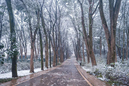 Winter snow scene in Moshan Scenic Area, East Lake, Wuhan, Hubeiの写真素材