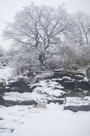 Winter snow scene in Moshan Scenic Area, East Lake, Wuhan, Hubeiの写真素材