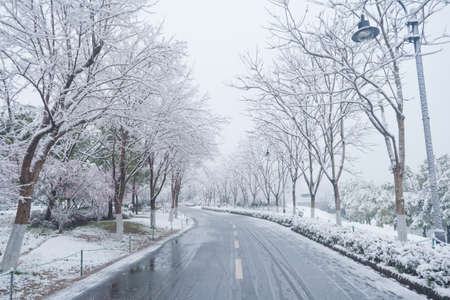 Winter snow scene in Moshan Scenic Area, East Lake, Wuhan, Hubeiの写真素材