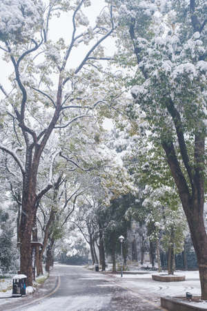 Winter snow scene in Moshan Scenic Area, East Lake, Wuhan, Hubeiの写真素材