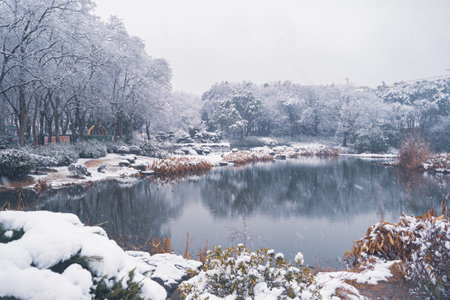 Winter snow scene in Moshan Scenic Area, East Lake, Wuhan, Hubeiの写真素材